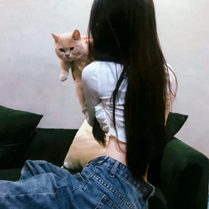 爱飞翔